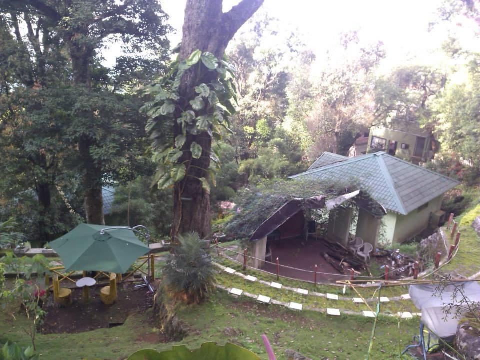Great Escapes Resorts Munnar Luaran gambar